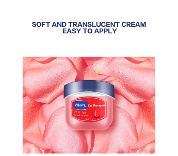4/6/8pcs Moisturizing Lip Balm Set Whitening Moisturizing Base Natural Plant Base Moisturizing Crack Lip Care Jelly Moisturizer - Image 9