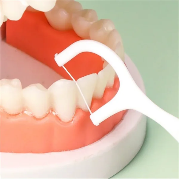 1/2/5/10 Box Portable Disposable Dental Floss Plastic Toothpick High-tension Dental Floss Stick Dental Floss Box ﻿Oral Care - Image 6
