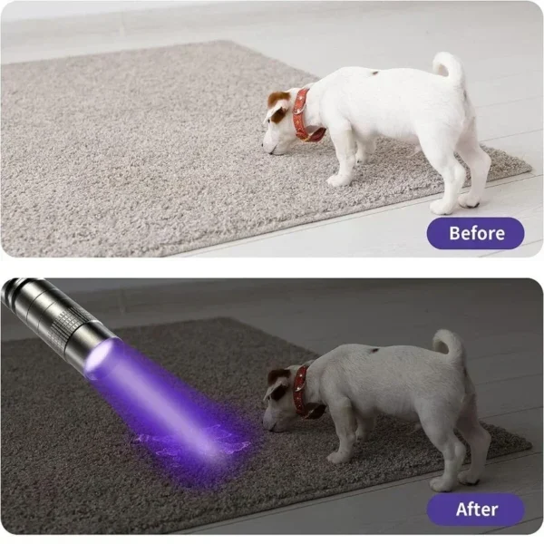 395nm UV Flashlight Ultraviolet Torch With Pen Clip Portable Violet Light Pet Urine Scorpion Detector UV Lamp Use AAA Batteries - Image 2